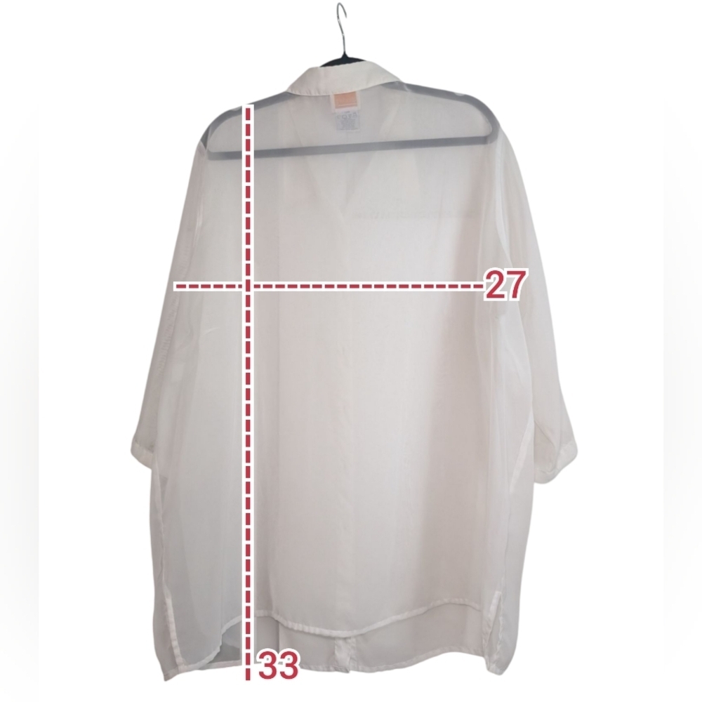 Vintage Plus Size Sheer Shirt - Picture 2 of 4